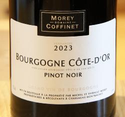 BOURGOGNE PINOT NOIR DE CÔTE D'OR - Morey-Coffinet - 2023 Rouge BIO 0,75L