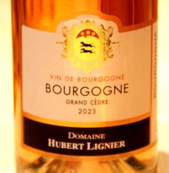 BOURGOGNE ROSÉ GRAND CÈDRE - Domaine Hubert Lignier - 2023 Rosé BIO 0,75L