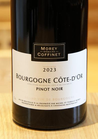 BOURGOGNE PINOT NOIR DE CÔTE D'OR - Morey-Coffinet - 2023 Rouge BIO 0,75L