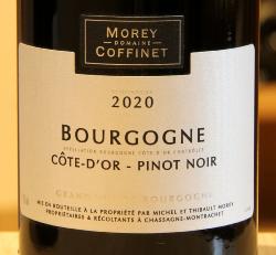 BOURGOGNE PINOT NOIR DE CÔTE D'OR - Morey-Coffinet - 2020 Rouge BIO 0,75L
