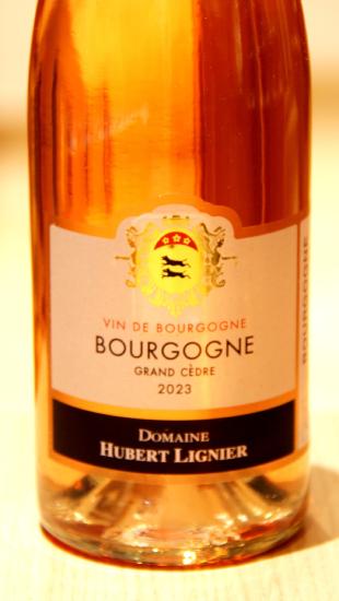 BOURGOGNE ROSÉ GRAND CÈDRE - Domaine Hubert Lignier - 2023 Rosé BIO 0,75L