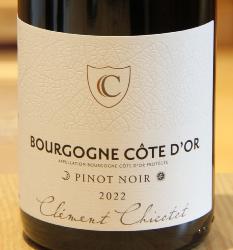 BOURGOGNE COTE D'OR - Domaine Georges Chicotot - 2022 Rouge BIO 0,75L
